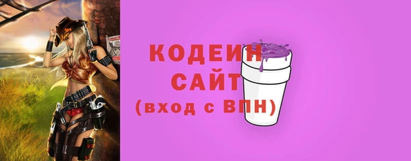 ECSTASY Бородино