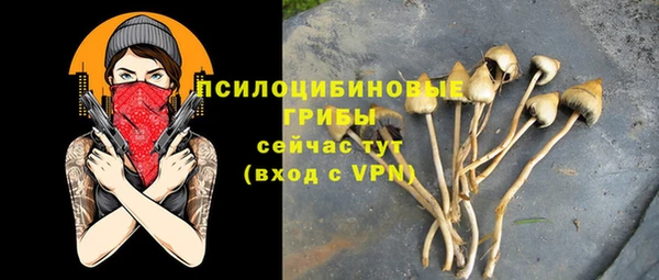 MDMA Premium VHQ Волосово