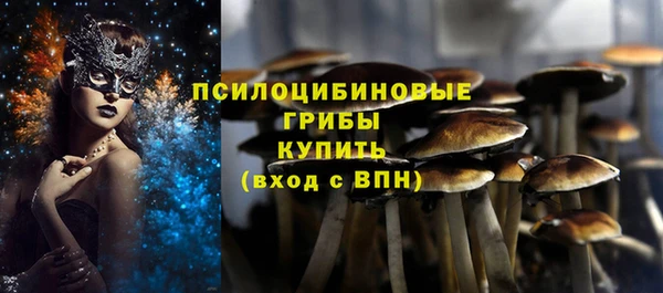 a pvp Володарск